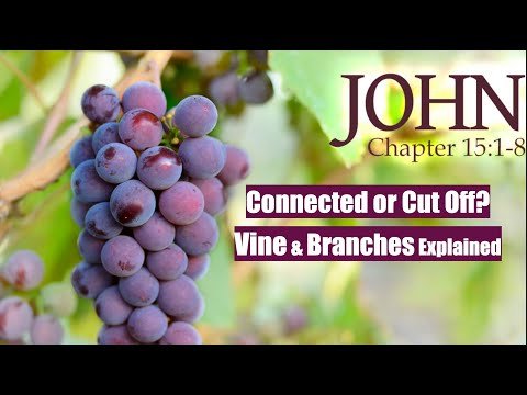 Connected or Cut Off? John 15, the Vine and the Branches